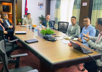 हाइड्रोजन इन्धनबारे छलफल, १०० मेगावाटको हाइड्रोजन प्लान्ट लगाउन अध्ययन गर्ने अर्थमन्त्रीको भनाई