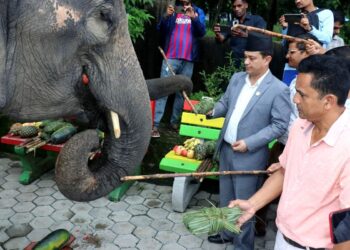 विवादमा तान्न खोजेपछि हात्ती वनभोेजका लागि रकम भुक्तानी नगर्न निर्देशन