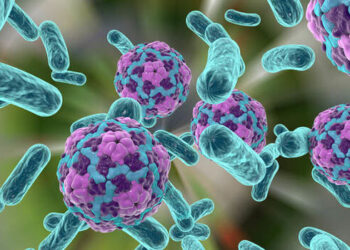 उपत्यकामा थप चार जना हैजाका बिरामी भेटिए