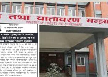 प्लास्टिकजन्य फूलगुच्छा र माला बिक्री गरे १ लाखसम्म जरिवाना तिर्नुपर्ने