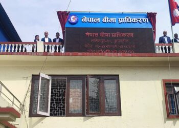 बीमा समिति प्राधिकरणमा परिणत