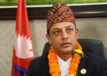 डीपी अर्याल बने रास्वपाको कार्यवाहक सभापति