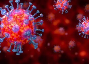 एकै दिन १७ जनामा देखियो कोरोना भाइरसको संक्रमण