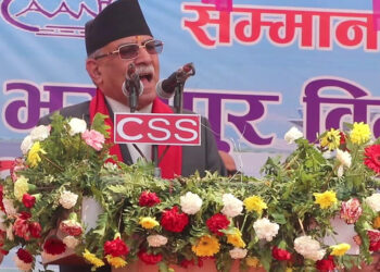 चितवनको क्रिकेट रंगशालाको समस्या दुई साताभित्रै समाधान हुन्छ : प्रम दाहाल