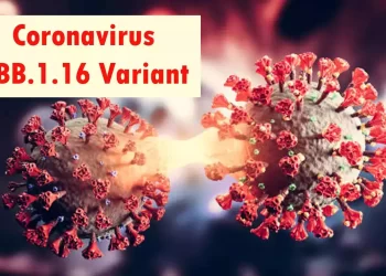 ओमिक्रोन XBB.1.16 को सङ्क्रमण नेपालमा पनि पुष्टि