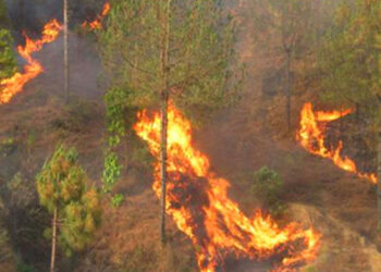 देशभरका वनमा डढेलो, सकेसम्म घर बाहिर ननिस्किनु