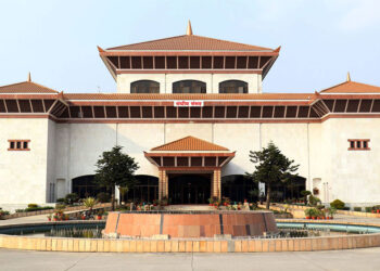 संसदभवन अगाडि फेरि आत्मदाह प्रयास, प्रहरीले बचायाे