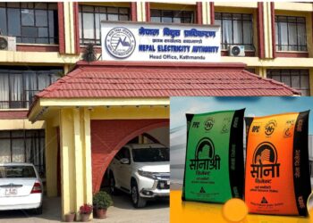 सोना सिमेन्टले तिरेन ७५ करोड वक्यौता, नेपाल विद्युत् प्राधिकरणले काट्यो बिजुली