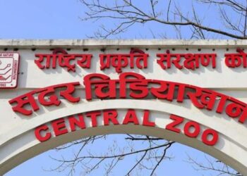 एकै दिन १२ हजार जनाले अवलोकन गरे चिडियाखाना