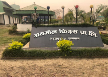 अनमोल फिड्सका चार्टर्ड अकाउन्टेन्ट रावल पक्राउ, रुङ्गटा फरार