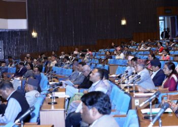 बजेट पास गर्नुअघि प्रतिनिधिसभा बैठक १५ मिनेट स्थगित