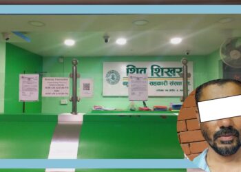शिवशिखर सहकारीका अध्यक्ष शर्माले साढे ११ अर्ब हिनामिना गरेको ठहर