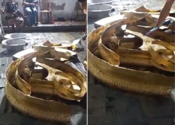 पशुपतिमा जलहरी अपराह्न ४ बजेपछि पुनर्स्थापित गरिने