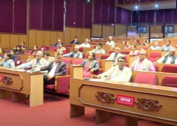 मिटरब्याज सम्बन्धी विधेयक राष्ट्रियसभाबाट पुनः सर्वसम्मतिले पारित