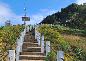 मझुवागढीलाई ‘फूलैफूलको पहाड’ बनाउने अभियान, २० बजार बढी बहुवर्षे फूलका बिरुवा रोपिए