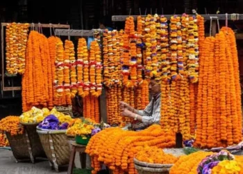 तिहारका लागि फूलमाला बिक्री गर्न काठमाडौँ महानगरले तोक्यो चार स्थान