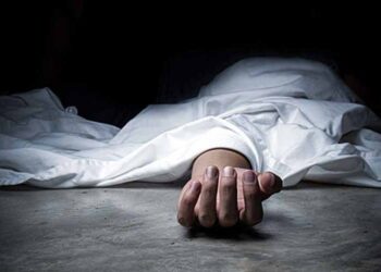 भुइँमा लत्रिएको बिजुलीको तार कुल्चिँदा मृत्यु