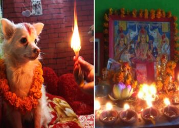 आज लक्ष्मीपूजा र कुकुरतिहार