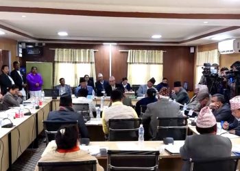 एनसेललाई सरकारको स्वामित्वमा ल्याउ, कर असुल गर : संसदीय समिति
