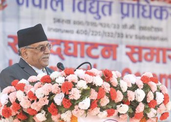 नयाँ ढंगले धक्का दिएर क्रमभंग गर्दैछु : प्रधानमन्त्री