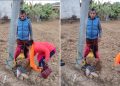 सिन्धुलीमा महिलालाई पोलमा बाँधेर बेहोस हुने गरी कुटपिट, श्रीमानसहित ७ जना पक्राउ
