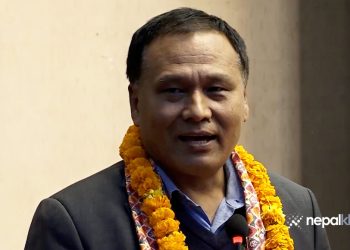 ६० अर्ब बराबरको आईपीओ बिक्री गर्दै विद्युत् प्राधिकरण