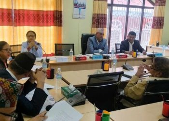 संवैधानिक परिषद्को निर्णयमा प्रधानमन्त्रीको सहमति अनिबार्य