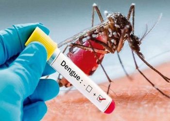 डेंगीबाट जोगिन काठमाडौँ महानगरको आग्रह