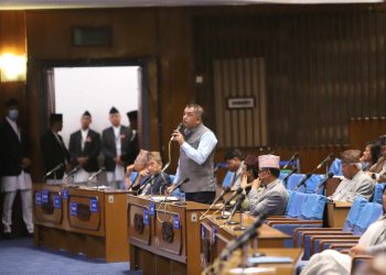 संसदीय समितिले जीबी, छवि, रवि, कवि जो भए पनि छानबिन गर्छ : गगन थापा