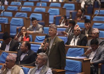 विदेशी नागरिकता लिएका विशिष्ट श्रेणीका कर्मचारीलाई कारबाही गर्न माग