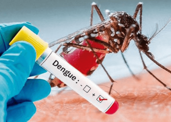 डेंगु संक्रमणबाट एक जनाको मृत्यु
