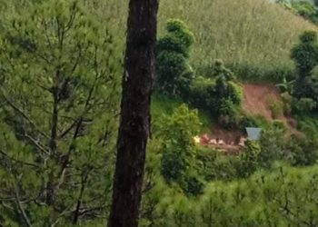 जाजरकोटको पहिरोमा परी  तीनजनाको मृत्यु