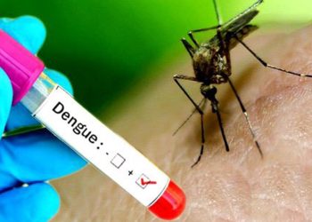 देशभरमा १४ हजारभन्दा बढी डेंगुका बिरामी