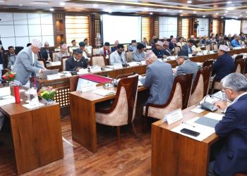 राष्ट्रिय विकास समस्या समाधान समितिको ५३ औँ बैठक सिंहदरबारमा