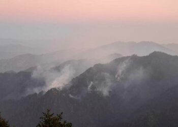 तीन दिनदेखि महाभारतमा डढेलो,सेना परिचालन