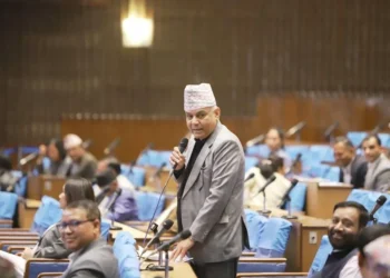 कांग्रेस मुख्य सचेतक श्याम घिमिरेले संसदबाटै मागे माफी