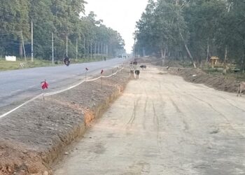 बुटवल-नारायणगढ सडकमा यातायात पुनः सञ्चालन