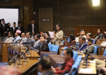 प्रधानमन्त्रीसँगै स्पेन गएर केही व्यक्ति नेपाल फर्केनन् – सोबिता गौतम