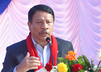 कार्यवाहक प्रधानमन्त्रीको जिम्मेवारी उपप्रधानमन्त्री सिंहलाई