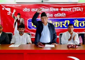 निर्वाचन लक्षित गर्दै वाईसीएलले ब्युँतायो अर्धसैन्य संरचना